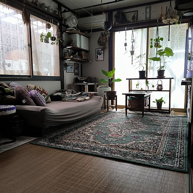 koyutan-mjmさんの部屋