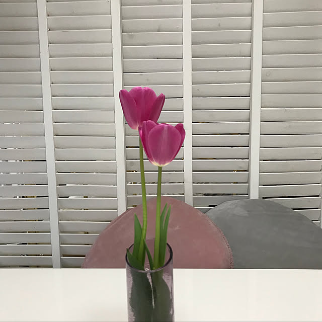 milk_cocoaさんの実例写真