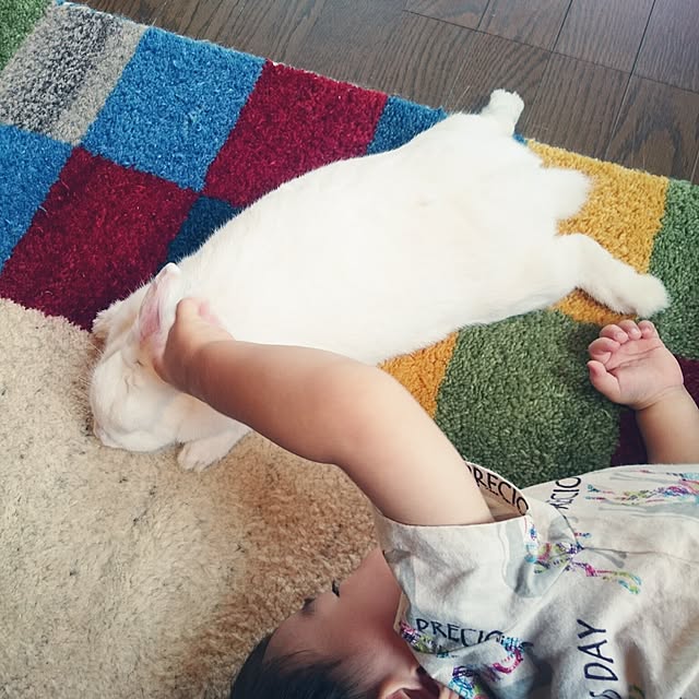 pepeさんの実例写真