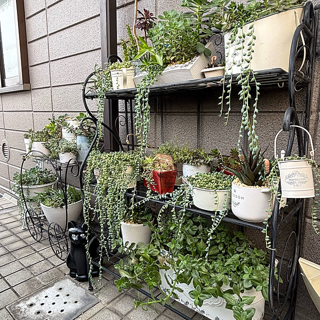 momocchiさんの実例写真