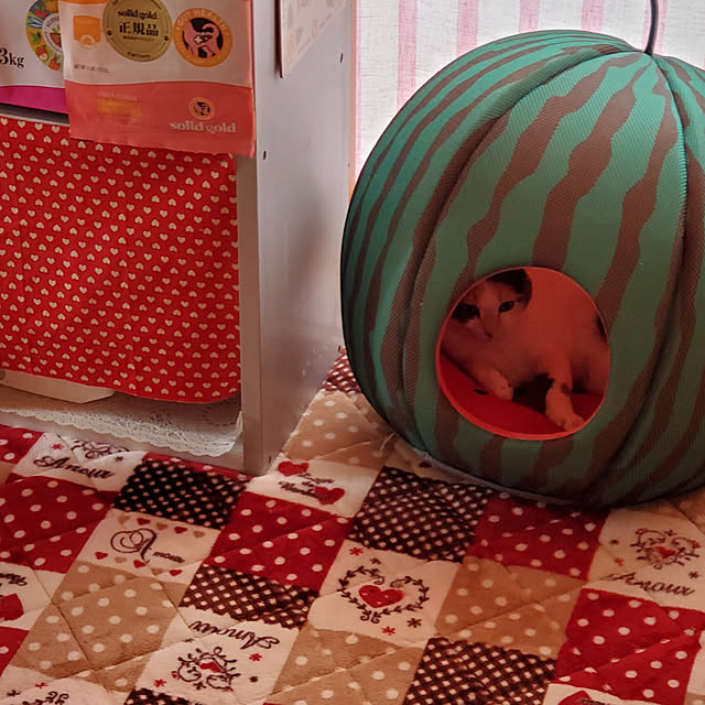 kumutanさんの実例写真