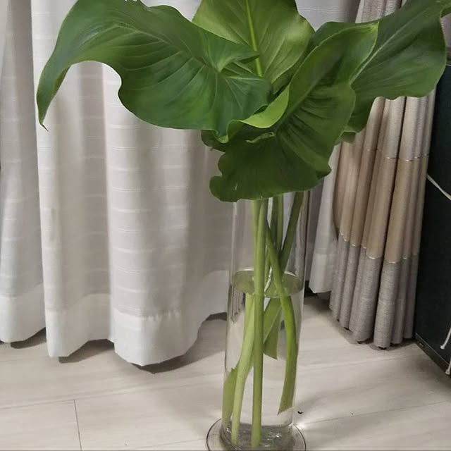 Redさんの実例写真