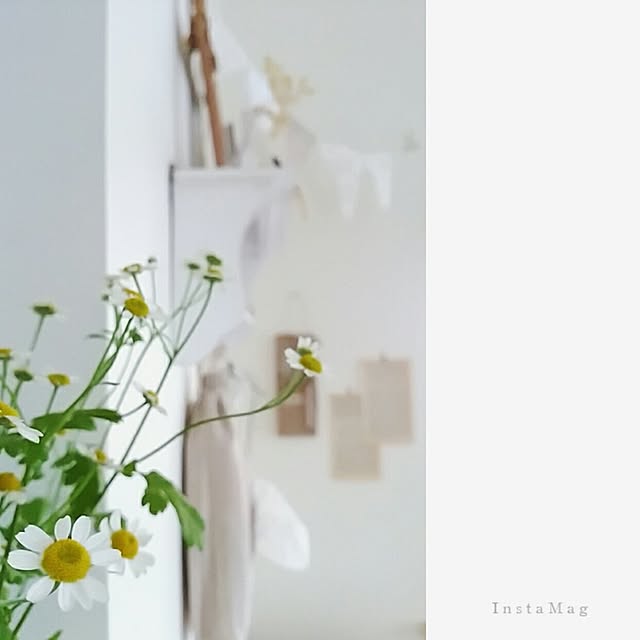 mikaさんの実例写真