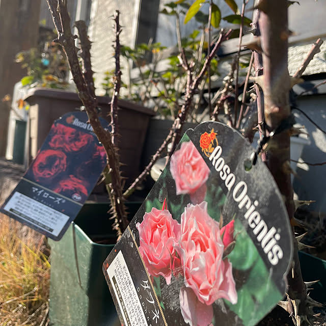 natsumiさんの実例写真