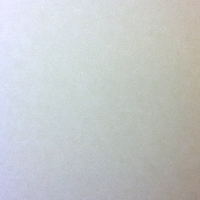 壁/天井のインテリア実例 - 2012-08-13 19:14:52