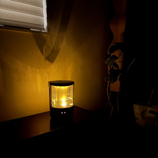 ozさんの実例写真