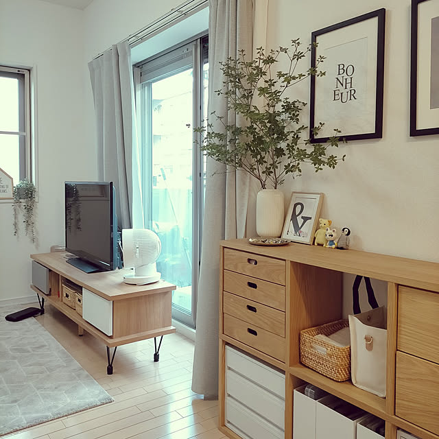 DailyRoomclip