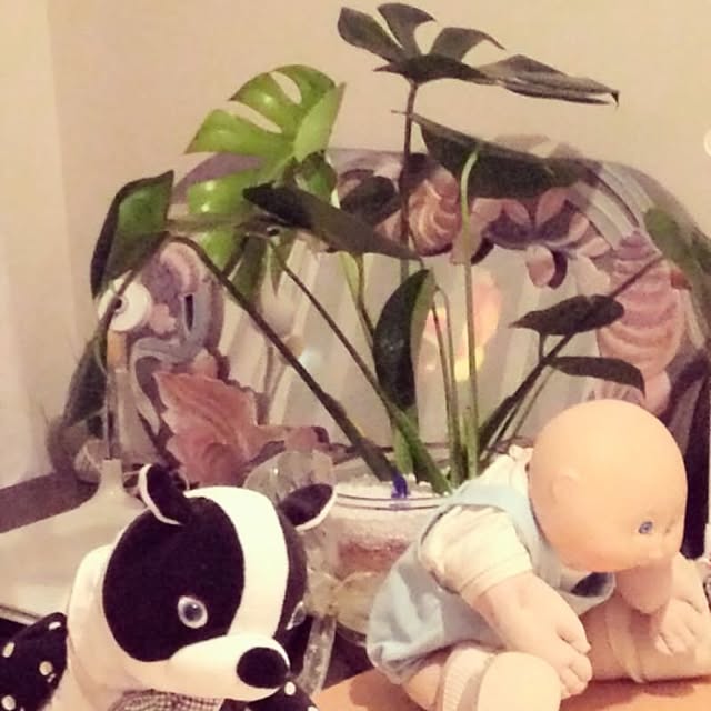 hidemomさんの実例写真