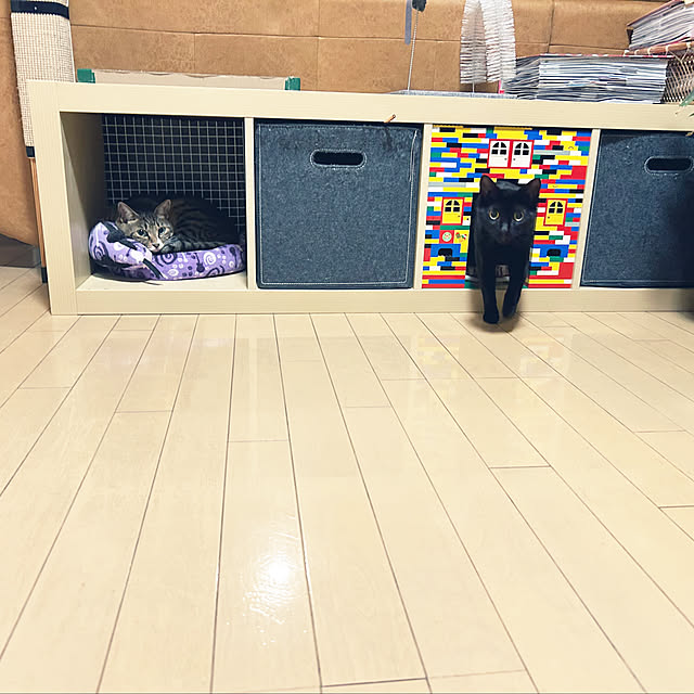 suemonta14さんの実例写真