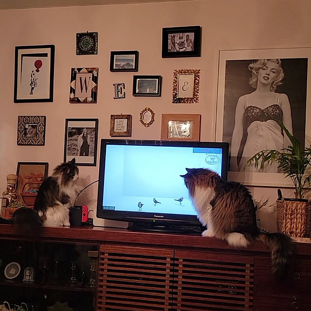 neoさんの実例写真