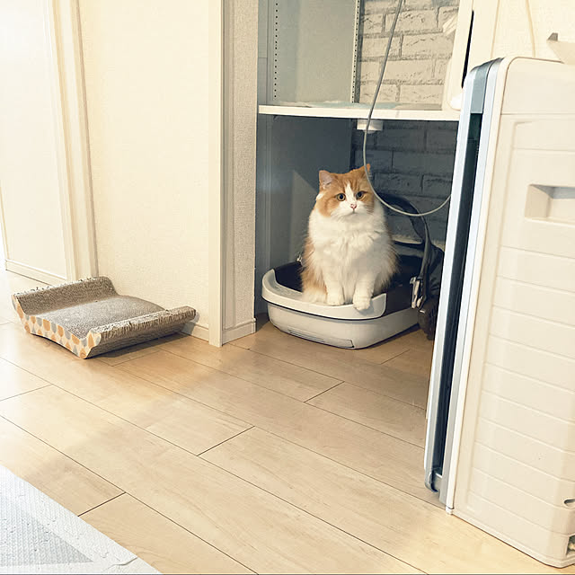 H.Tさんの実例写真