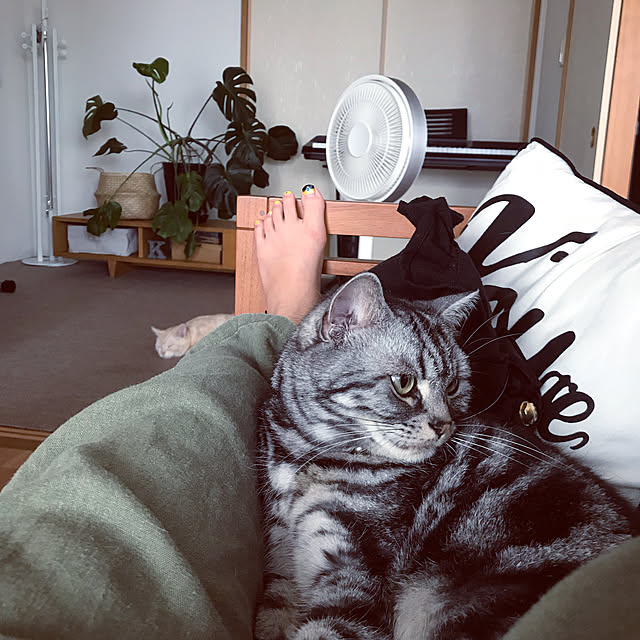 hiyupan88さんの実例写真