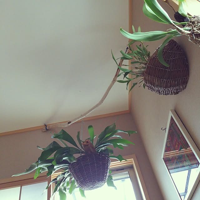 Esさんの実例写真