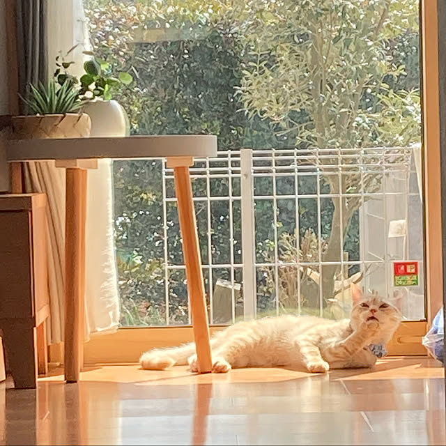 m.k.mさんの実例写真