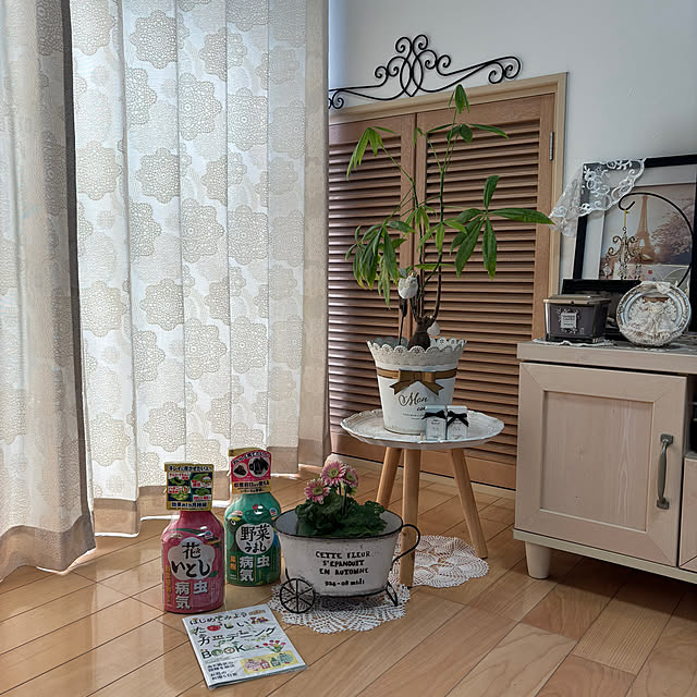 maayaさんの部屋