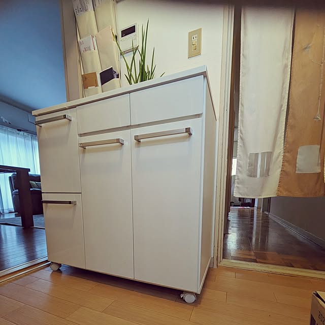 Renさんの実例写真