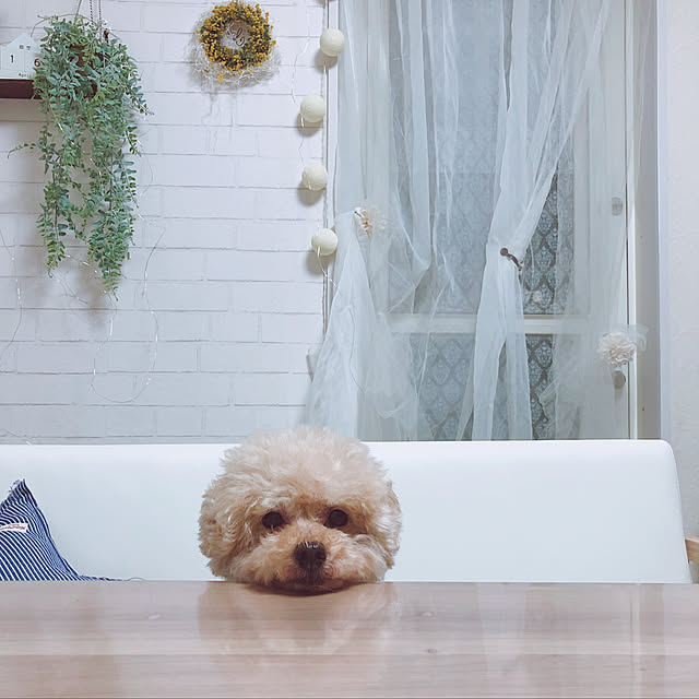 chocomamaさんの実例写真