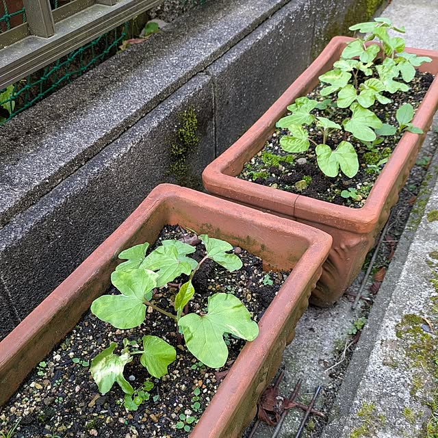 Renさんの部屋