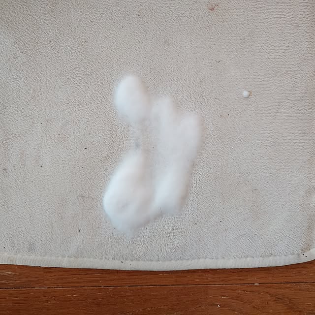 merirynさんの部屋