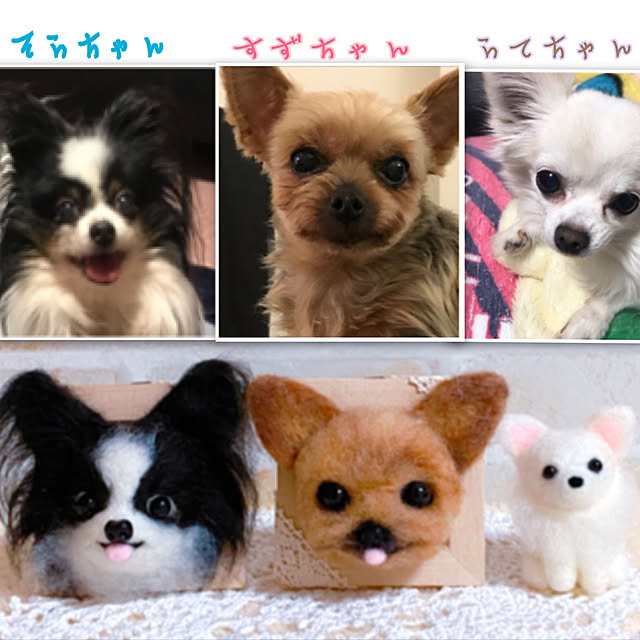 anzさんの実例写真