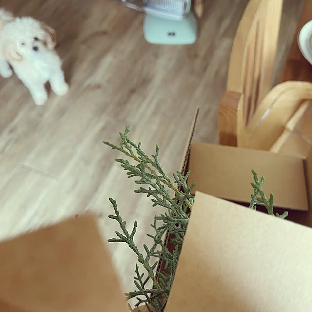 nikoさんの部屋