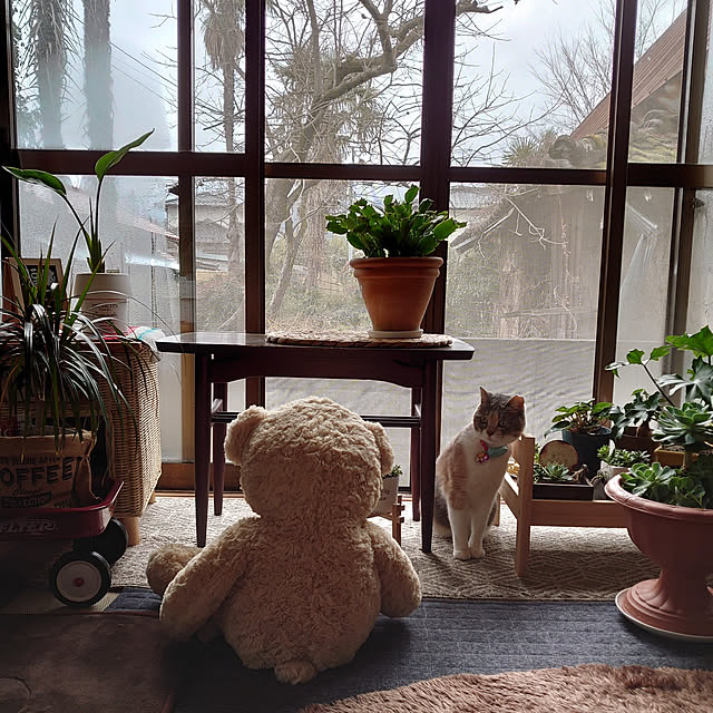 fukuさんの実例写真