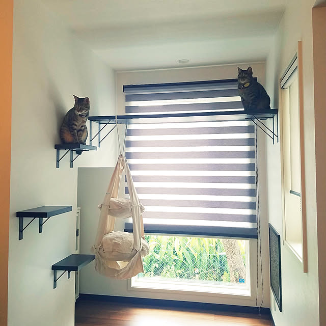 rmさんの実例写真