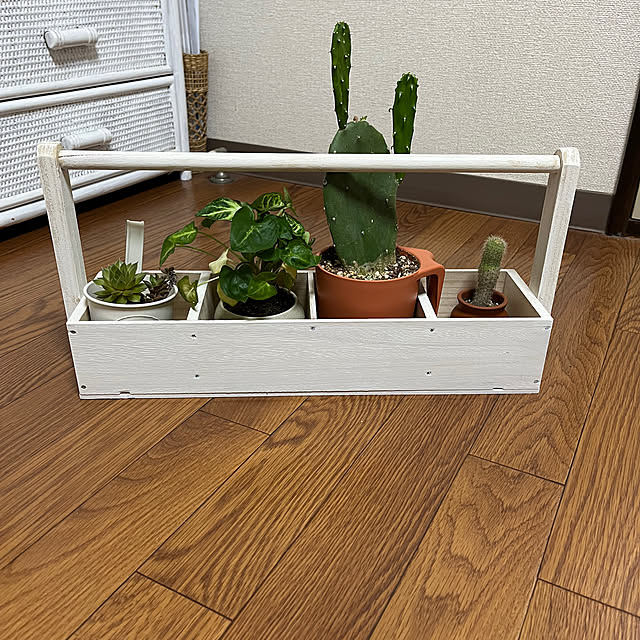 akw2さんの実例写真
