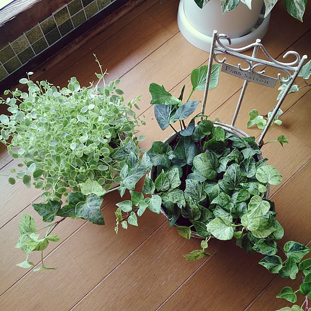 miporin0711さんの実例写真