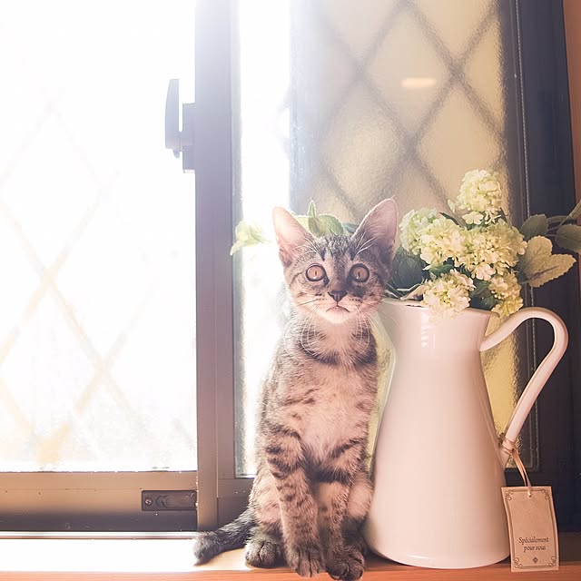 HARUさんの実例写真