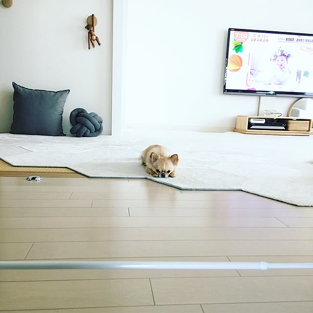 haruhinaさんの実例写真