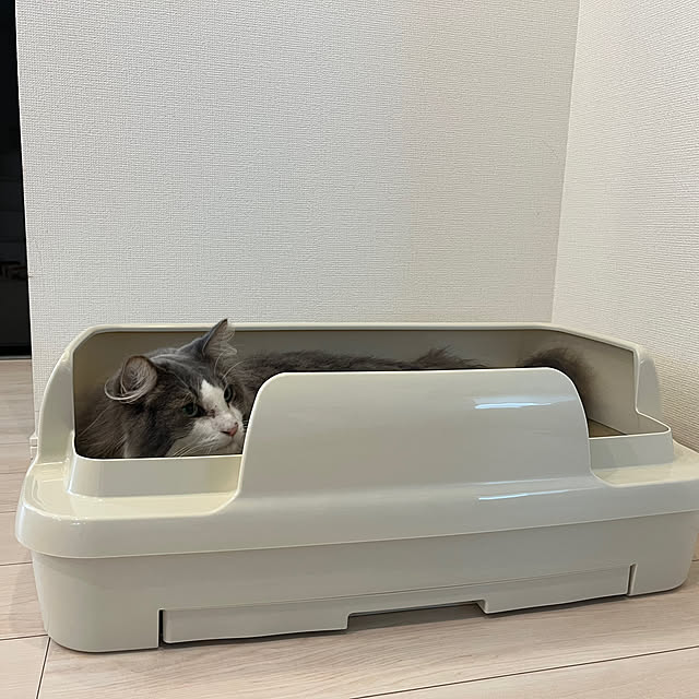 leoさんの実例写真
