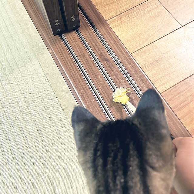 yunyumさんの実例写真