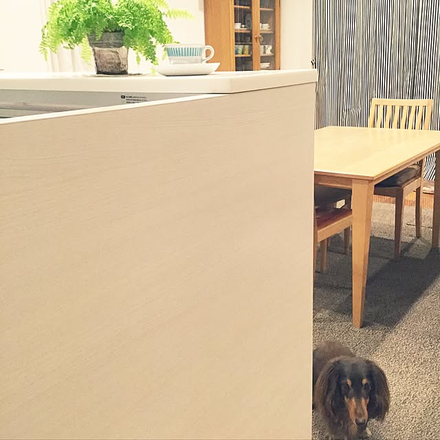 soranoiroさんの実例写真
