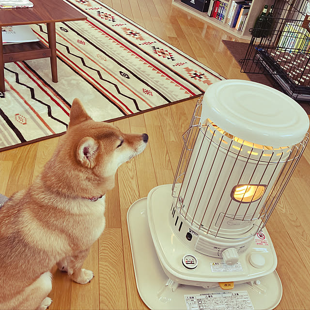 SHINMAIさんの実例写真