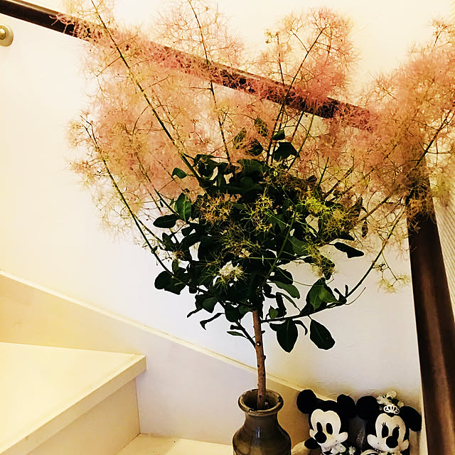 310homeさんの実例写真