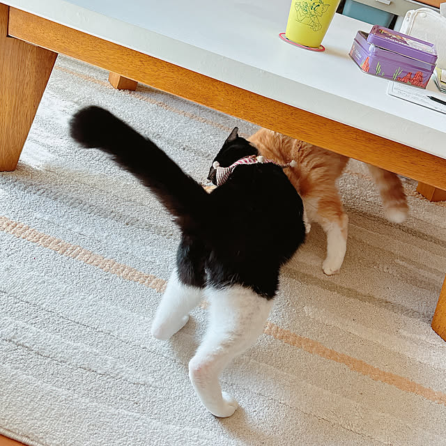 moolさんの部屋