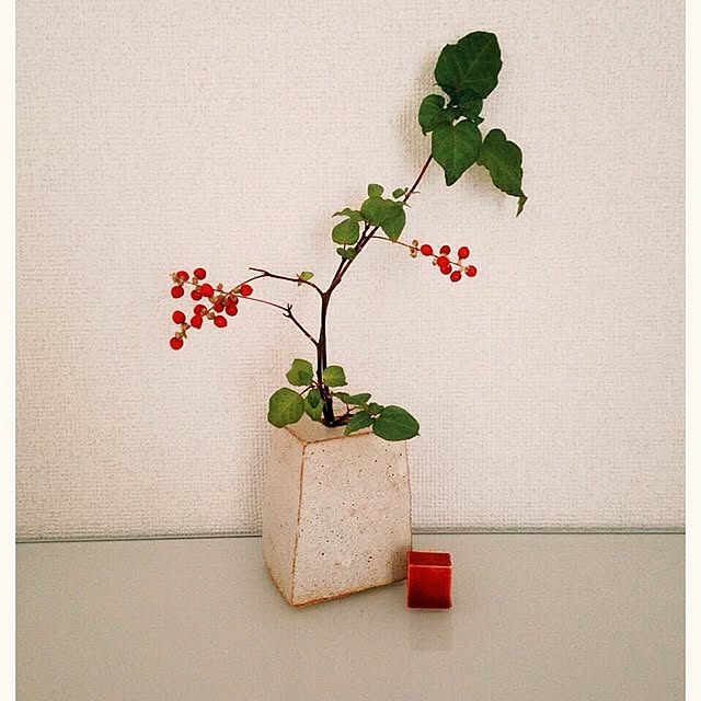 Tomokoさんの実例写真