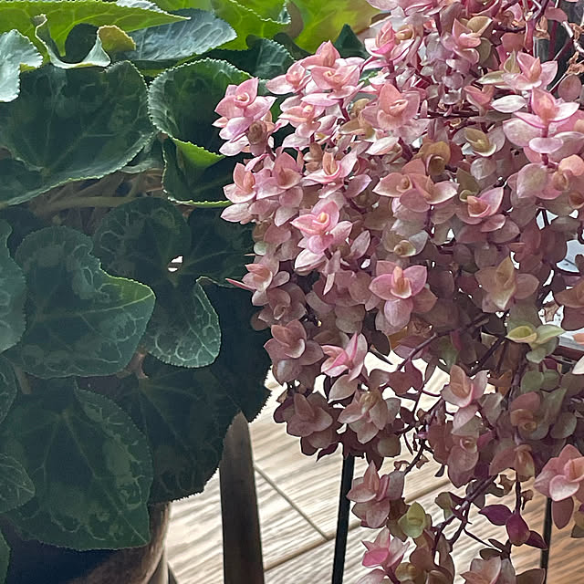 buchiさんの実例写真