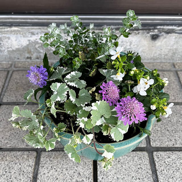 eshinobumさんの部屋