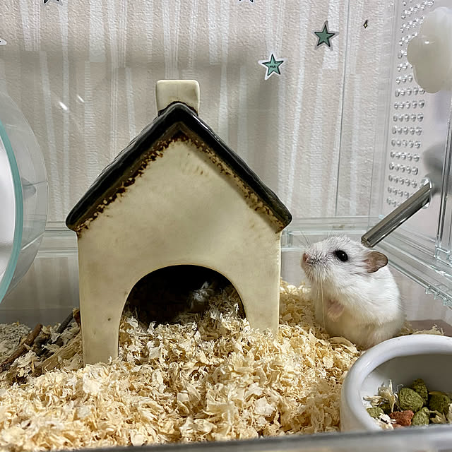 Zukeさんの実例写真