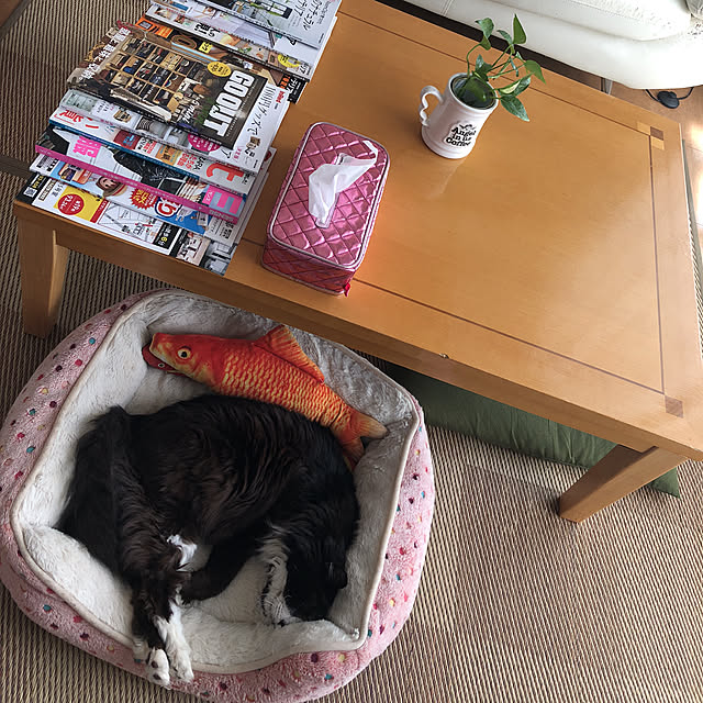 kanaさんの実例写真