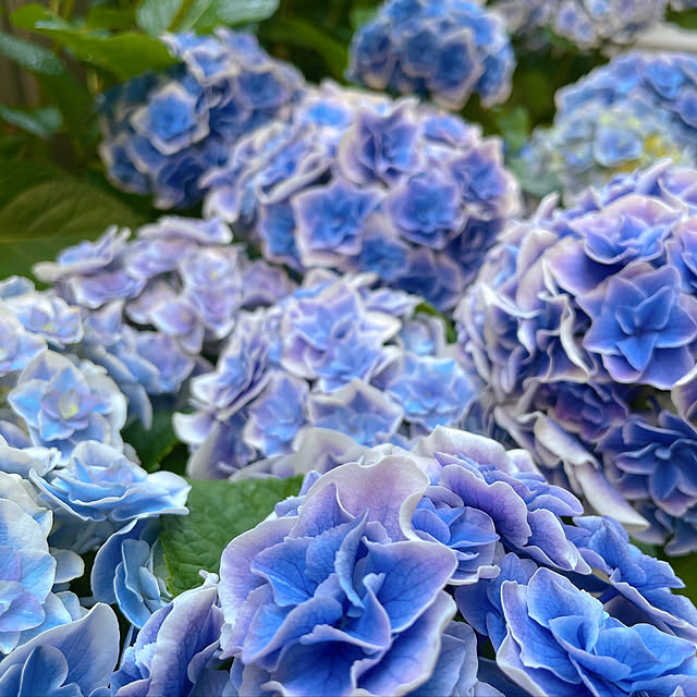 memoryさんの実例写真