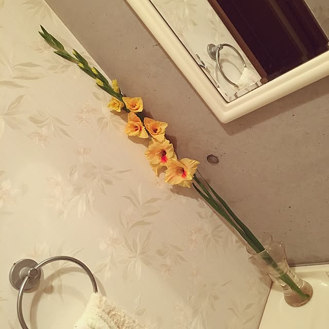 elix_loves_clairさんの実例写真
