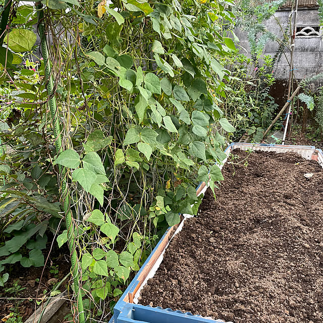 natsumiさんの部屋
