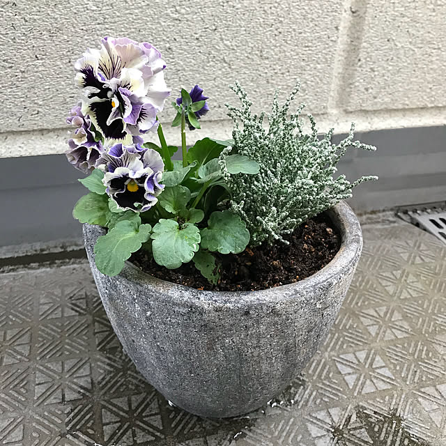 kinaco_panさんの実例写真