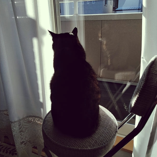 lilyさんの実例写真