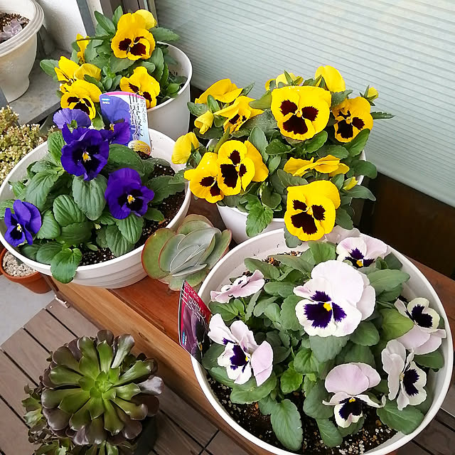 VERANDARJUNさんの実例写真