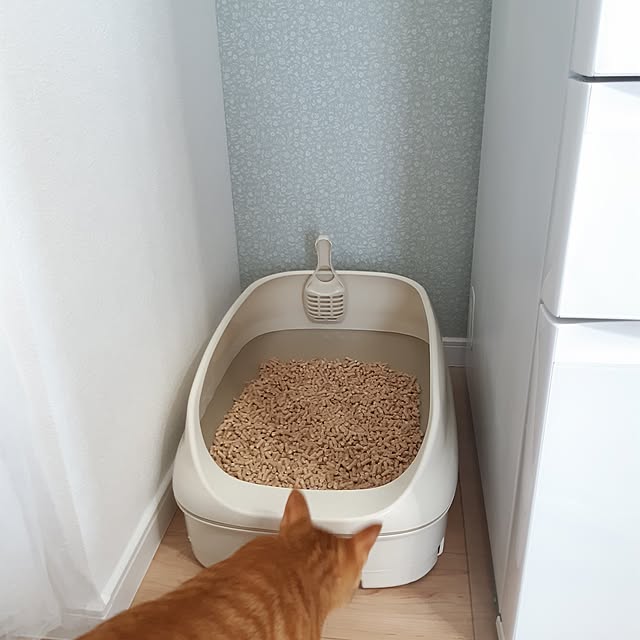 m.m.mさんの部屋