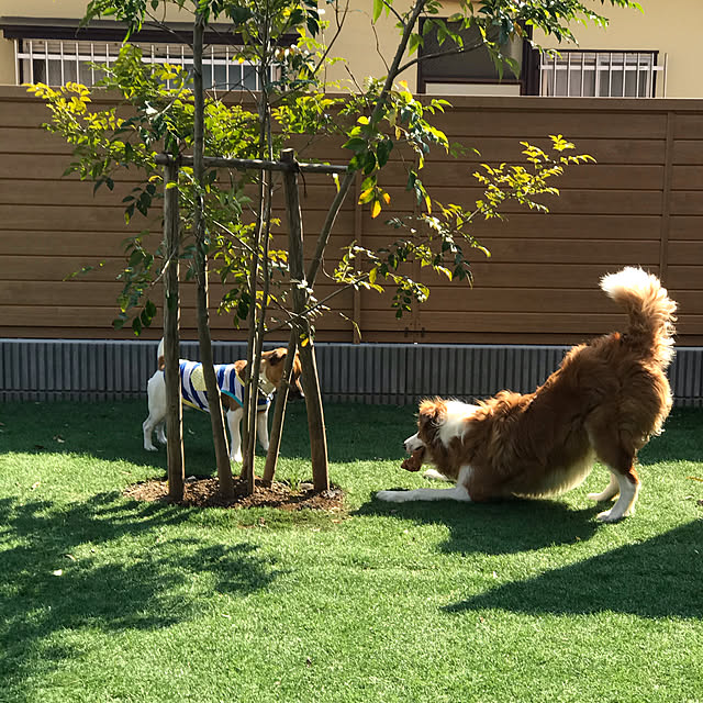 yakomaさんの実例写真